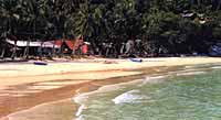 Tioman Island Beach